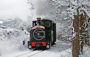 Santa Specials on Welshpool & Llanfair Light Railway